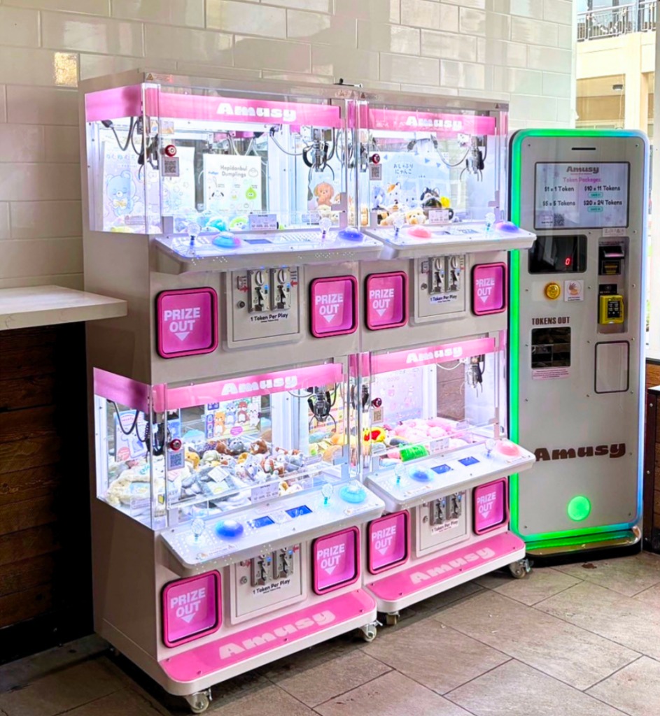 Amusy Machine Setup